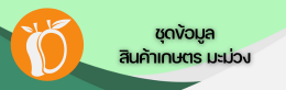 ชุดข้อมูลสินค้าเกษตร มะม่วง