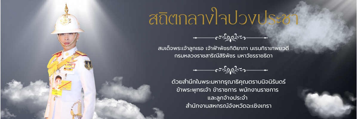 สมเด็จพระเจ้าลูกเธอ เจ้าฟ้าพัชรกิติยาภา นเรนทิราเทพยวดี กรมหลวงราชสาริณีสิริพัชร มหาวัชรราชธิดา