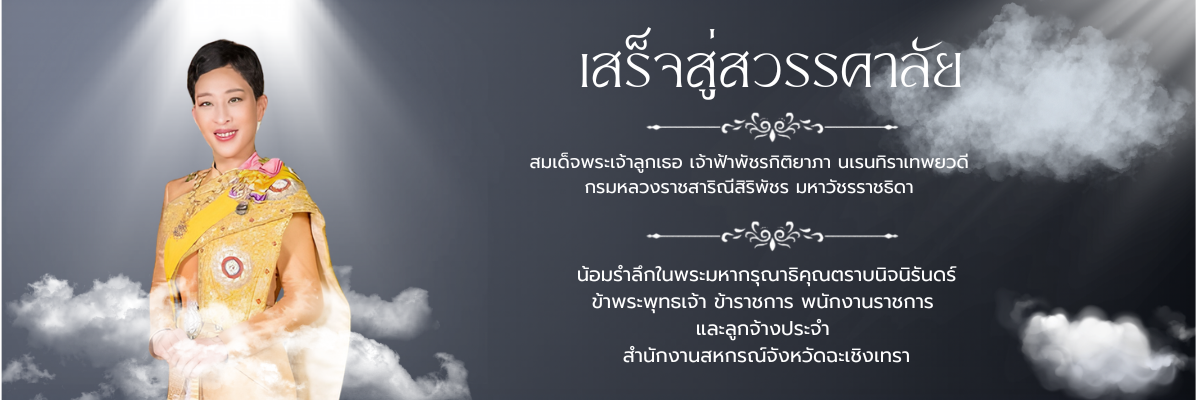 สมเด็จพระเจ้าลูกเธอ เจ้าฟ้าพัชรกิติยาภา นเรนทิราเทพยวดี กรมหลวงราชสาริณีสิริพัชร มหาวัชรราชธิดา