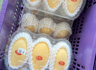 เข้าร่วมโครงการประชุมเชิงปฏิบัติการการจัดการด้านการตลาดสมัยใหม่ &quot;หลักสูตรการจัดการการตลาดสมัยใหม่&quot; ปีงบประมาณ พ.ศ. 2568 ... พารามิเตอร์รูปภาพ 8