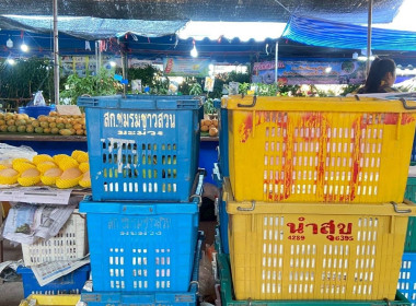 พิธีเปิดงานวันมะม่วงและของดีเมืองแปดริ้ว ครั้งที่ 54 ... พารามิเตอร์รูปภาพ 2