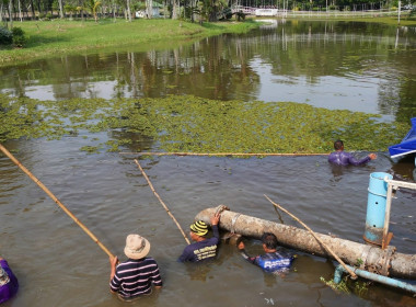 ร่วมกิจกรรมปล่อยพันธุ์สัตว์น้ำเฉลิมพระเกียรติ จำนวน 71,000 ... พารามิเตอร์รูปภาพ 1