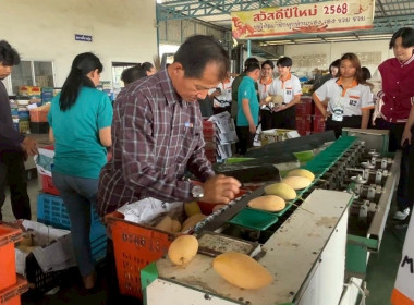 เจ้าหน้าที่กลุ่มส่งเสริมสหกรณ์ 3 ... พารามิเตอร์รูปภาพ 5