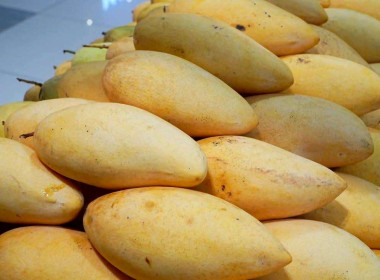 พิธีเปิดงาน “เทศกาลมะม่วงแปดริ้ว Mango Festival” ประจำปี ... พารามิเตอร์รูปภาพ 10