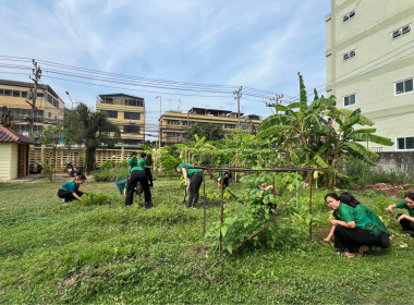 กิจกรรมวันทำความสะอาดใหญ่ (Big Cleaning Day) ครั้งที่ 3 พารามิเตอร์รูปภาพ 14