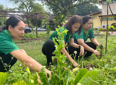 กิจกรรมวันทำความสะอาดใหญ่ (Big Cleaning Day) ครั้งที่ 3 พารามิเตอร์รูปภาพ 8