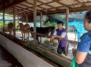 ตรวจสอบปริมาณน้ำนมโคและประชากรโคนม ระดับจังหวัด ... พารามิเตอร์รูปภาพ 1