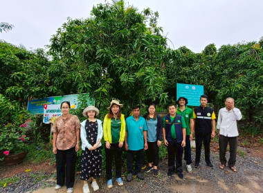ลงพื้นที่ตรวจประเมินตามระบบควบคุมคุณภาพสินค้าบ่งชี้ ... พารามิเตอร์รูปภาพ 7