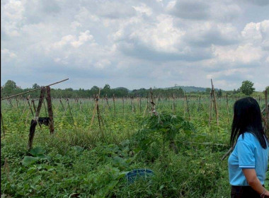 ลงพื้นที่ติดตามผลการดำเนินงานการส่งเสริมพัฒนาอาชีพและการตลาดของเกษตรกร/กลุ่มชาวบ้าน ในพื้นที่โครงการจัดที่ดินทำกินให้ชุมชนตามนโยบายรัฐบาล (คทช.) พื้นที่ป่าแควระบม-ป่าสียัด ... พารามิเตอร์รูปภาพ 1