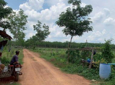ลงพื้นที่ติดตามผลการดำเนินงานการส่งเสริมพัฒนาอาชีพและการตลาดของเกษตรกร/กลุ่มชาวบ้าน ในพื้นที่โครงการจัดที่ดินทำกินให้ชุมชนตามนโยบายรัฐบาล (คทช.) พื้นที่ป่าแควระบม-ป่าสียัด ... พารามิเตอร์รูปภาพ 8