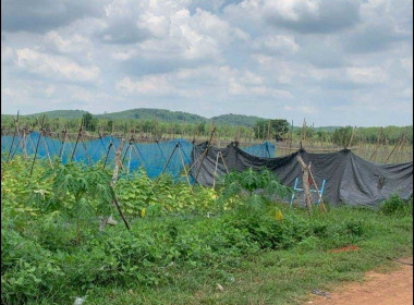 ลงพื้นที่ติดตามผลการดำเนินงานการส่งเสริมพัฒนาอาชีพและการตลาดของเกษตรกร/กลุ่มชาวบ้าน ในพื้นที่โครงการจัดที่ดินทำกินให้ชุมชนตามนโยบายรัฐบาล (คทช.) พื้นที่ป่าแควระบม-ป่าสียัด ... พารามิเตอร์รูปภาพ 9