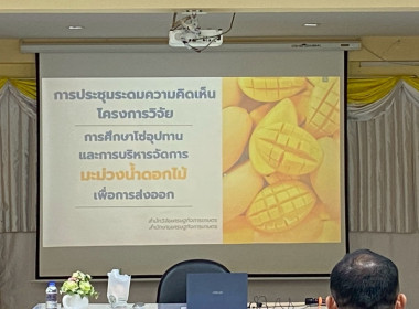 ประชุมระดมความคิดเห็นโครงการวิจัย เรื่อง ... พารามิเตอร์รูปภาพ 4