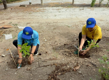 โครงการกิจกรรมจิตอาสาบำเพ็ญประโยชน์และบำเพ็ญสาธารณกุศล ... พารามิเตอร์รูปภาพ 16