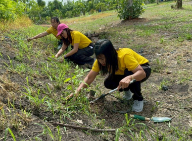 โครงการกิจกรรมจิตอาสาบำเพ็ญประโยชน์และบำเพ็ญสาธารณกุศล ... พารามิเตอร์รูปภาพ 1