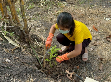 โครงการกิจกรรมจิตอาสาบำเพ็ญประโยชน์และบำเพ็ญสาธารณกุศล ... พารามิเตอร์รูปภาพ 3