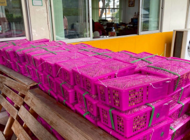 สำนักงานสหกรณ์จังหวัดฉะเชิงเทรา ... พารามิเตอร์รูปภาพ 10