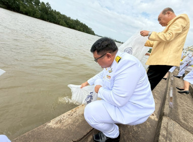 กิจกรรมเฉลิมพระเกียรติพระบาทสมเด็จพระเจ้าอยู่หัว ... พารามิเตอร์รูปภาพ 9