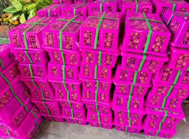 สำนักงานสหกรณ์จังหวัดฉะเชิงเทรา ... พารามิเตอร์รูปภาพ 17