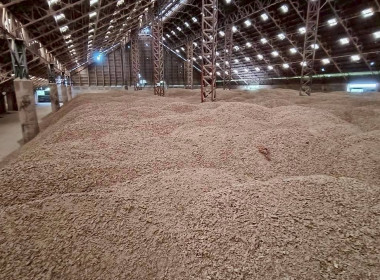 ตรวจสต็อกมันสำปะหลังตามโครงการชดเชยดอกเบี้ยในการเก็บสต็อกมันสำปะหลังปี 2567/68 ประจำเดือน สิงหาคม 2568 ... พารามิเตอร์รูปภาพ 4