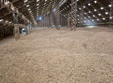 ตรวจสต็อกมันสำปะหลังตามโครงการชดเชยดอกเบี้ยในการเก็บสต็อกมันสำปะหลังปี 2567/68 ประจำเดือน สิงหาคม 2568 ... พารามิเตอร์รูปภาพ 6