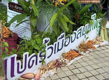 งานนิทรรศการพืชสมุนไพรจังหวัดฉะเชิงเทรา ... พารามิเตอร์รูปภาพ 8
