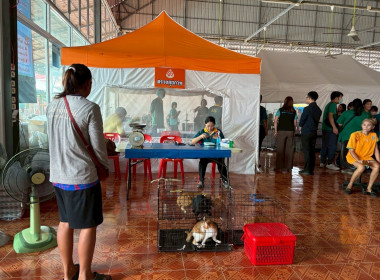 โครงการเร่งรัดผ่าตัดทำหมันสุนัขและแมว เพื่อควบคุมป้องกัน ... พารามิเตอร์รูปภาพ 18