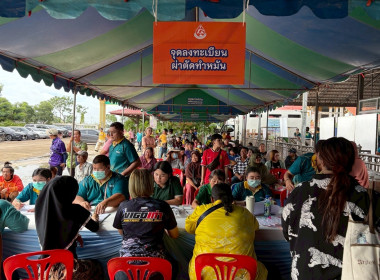 โครงการเร่งรัดผ่าตัดทำหมันสุนัขและแมว เพื่อควบคุมป้องกัน ... พารามิเตอร์รูปภาพ 2