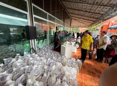 โครงการเร่งรัดผ่าตัดทำหมันสุนัขและแมว เพื่อควบคุมป้องกัน ... พารามิเตอร์รูปภาพ 3