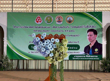 โครงการเร่งรัดผ่าตัดทำหมันสุนัขและแมว เพื่อควบคุมป้องกัน ... พารามิเตอร์รูปภาพ 5