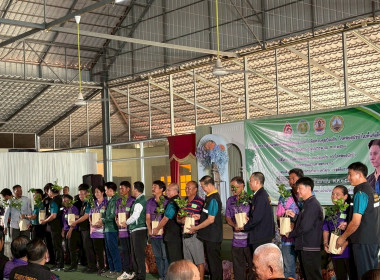 โครงการเร่งรัดผ่าตัดทำหมันสุนัขและแมว เพื่อควบคุมป้องกัน ... พารามิเตอร์รูปภาพ 10