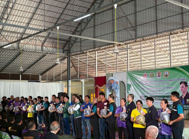 โครงการเร่งรัดผ่าตัดทำหมันสุนัขและแมว เพื่อควบคุมป้องกัน ... พารามิเตอร์รูปภาพ 11