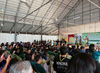 โครงการเร่งรัดผ่าตัดทำหมันสุนัขและแมว เพื่อควบคุมป้องกัน ... พารามิเตอร์รูปภาพ 15