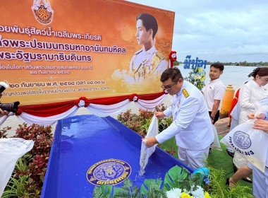 เข้าร่วมกิจกรรม ... พารามิเตอร์รูปภาพ 6