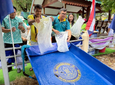 กิจกรรมปล่อยพันธุ์สัตว์น้ำ เนื่องในวันประมงแห่งชาติประจำปี ... พารามิเตอร์รูปภาพ 4