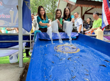 กิจกรรมปล่อยพันธุ์สัตว์น้ำ เนื่องในวันประมงแห่งชาติประจำปี ... พารามิเตอร์รูปภาพ 16