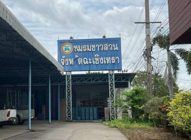 ลงพื้นที่สหกรณ์ชมรมชาวสวนมะม่วงจังหวัดฉะเชิงเทรา จำกัด ... พารามิเตอร์รูปภาพ 8