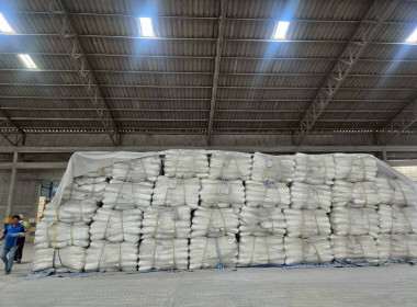 ตรวจสต็อกมันสำปะหลังตามโครงการชดเชยดอกเบี้ยในการเก็บสต็อกมันสำปะหลังปี 2567/68 ประจำเดือน กันยายน 2568 ... พารามิเตอร์รูปภาพ 5