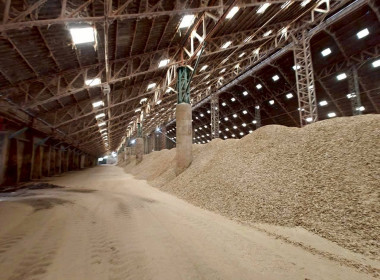 ตรวจสต็อกมันสำปะหลังตามโครงการชดเชยดอกเบี้ยในการเก็บสต็อกมันสำปะหลังปี 2567/68 ประจำเดือน กันยายน 2568 ... พารามิเตอร์รูปภาพ 9