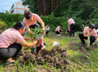 ร่วมกิจกรรมวันรักต้นไม้ ประจำปี 2568 ณ บริเวณด้านหลัง ... พารามิเตอร์รูปภาพ 13