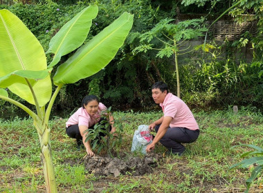 ร่วมกิจกรรมวันรักต้นไม้ ประจำปี 2568 ณ บริเวณด้านหลัง ... พารามิเตอร์รูปภาพ 2