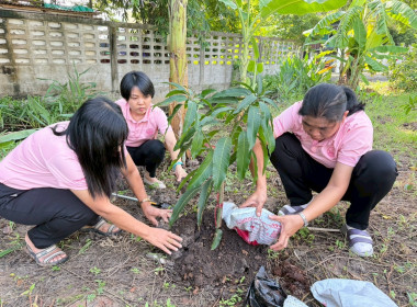 ร่วมกิจกรรมวันรักต้นไม้ ประจำปี 2568 ณ บริเวณด้านหลัง ... พารามิเตอร์รูปภาพ 3
