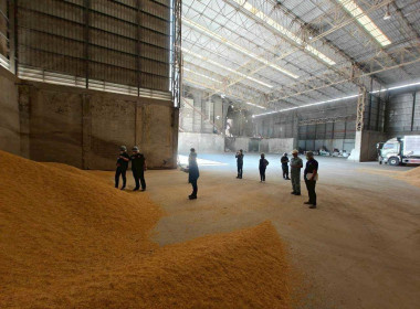 เข้าร่วมตรวจสต็อกข้าวตามโครงการชดเชยดอกเบี้ย ... พารามิเตอร์รูปภาพ 6