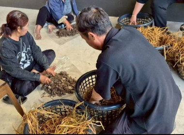 โครงการประชุมเชิงปฏิบัติการเพิ่มประสิทธิภาพการจัดการวัสดุเหลือใช้ทางการเกษตรหรือผลพลอยได้เพื่อสร้างมูลค่าเพิ่ม ปีงบประมาณ พ.ศ. 2569 ... พารามิเตอร์รูปภาพ 8