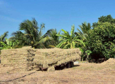 ลงพื้นที่สหกรณ์การเกษตรคลองเขื่อน จำกัด ... พารามิเตอร์รูปภาพ 1