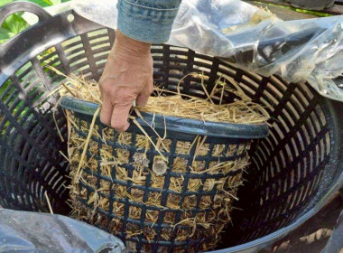 ลงพื้นที่สหกรณ์การเกษตรคลองเขื่อน จำกัด ... พารามิเตอร์รูปภาพ 8