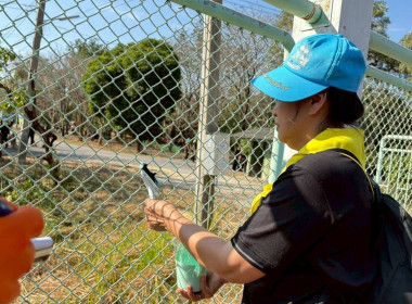 โครงการน้อมรำลึกในพระมหากรุณาธิคุณสมเด็จพระนางเจ้าสิริกิติ์ ... พารามิเตอร์รูปภาพ 17