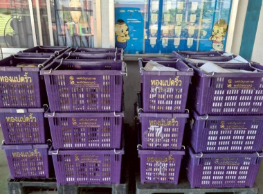 ลงพื้นที่สหกรณ์ชมรมชาวสวนมะม่วงจังหวัดฉะเชิงเทรา จำกัด ... พารามิเตอร์รูปภาพ 6