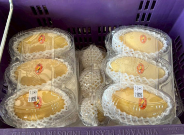 ลงพื้นที่สหกรณ์ชมรมชาวสวนมะม่วงจังหวัดฉะเชิงเทรา จำกัด ... พารามิเตอร์รูปภาพ 7