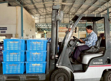 ลงพื้นที่สหกรณ์ชมรมชาวสวนมะม่วงจังหวัดฉะเชิงเทรา จำกัด ... พารามิเตอร์รูปภาพ 8