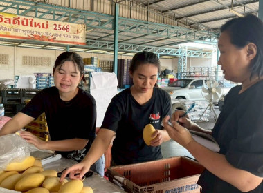 ลงพื้นที่สหกรณ์ชมรมชาวสวนมะม่วงจังหวัดฉะเชิงเทรา จำกัด ... พารามิเตอร์รูปภาพ 3
